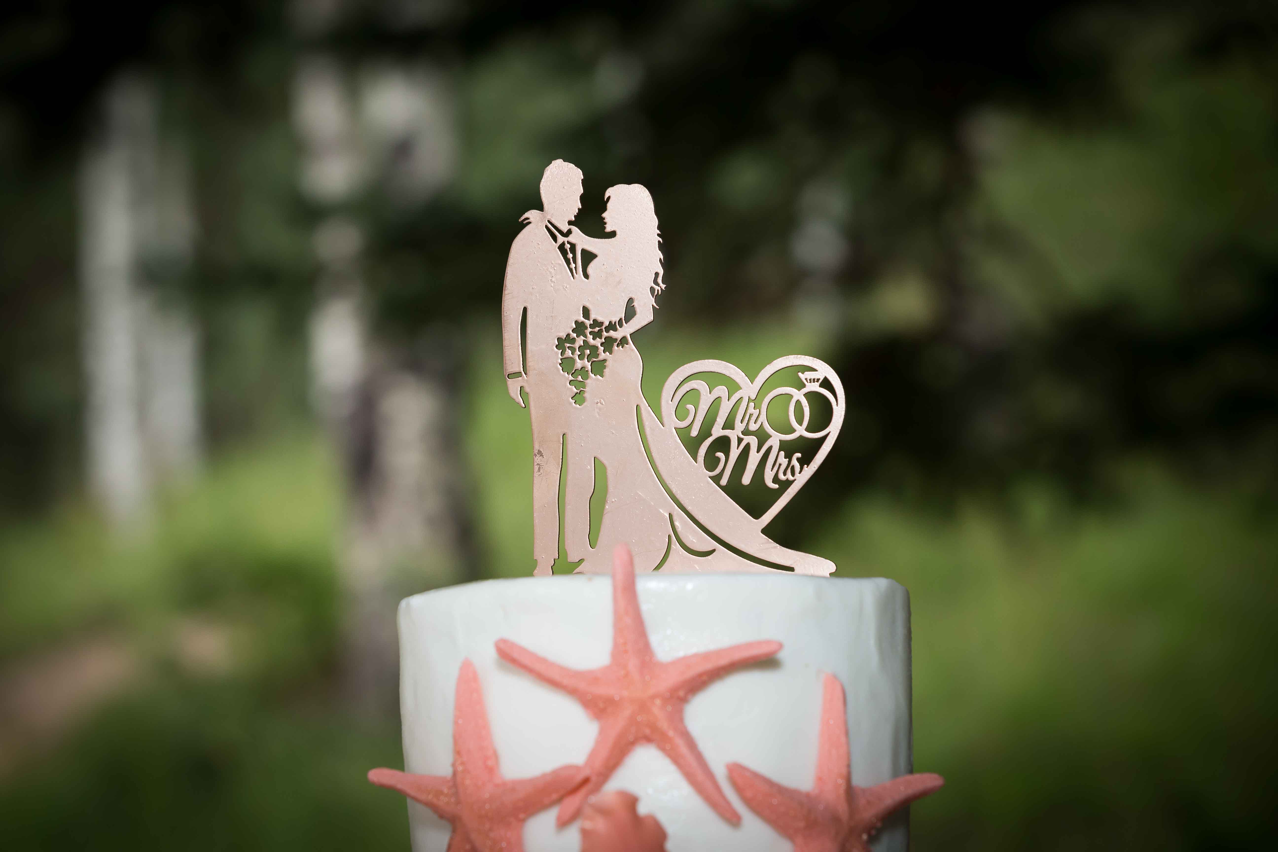 Shandi Bruno Jared wedding cake topper Cedar City Utah